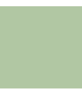 Earthborn Claypaint - Cricket 2.5l