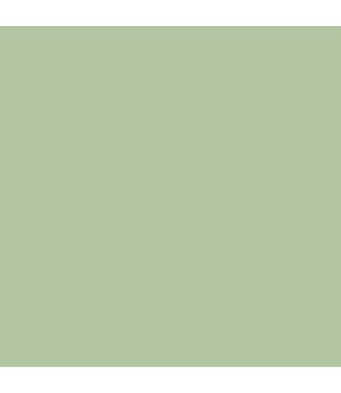 Earthborn Claypaint - Cricket 5l