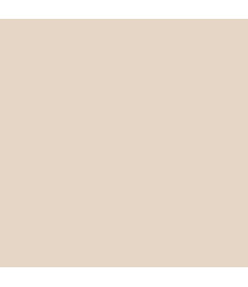 Earthborn Claypaint - Donkey Ride 2.5l