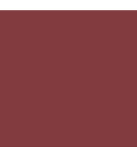 Earthborn Claypaint - Lady Bug 2.5l