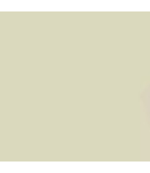 Earthborn Claypaint - Ragdoll 5l