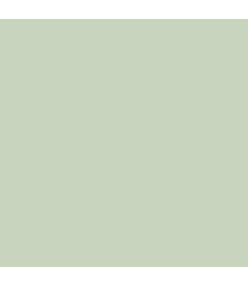 Earthborn Claypaint - Sapling 2.5l
