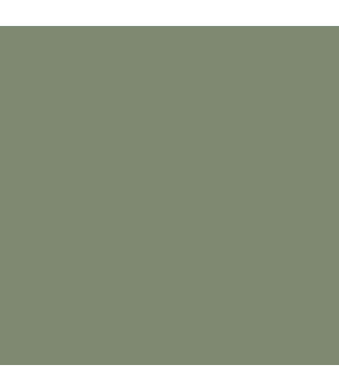 Earthborn Claypaint - Secret Room 100ml